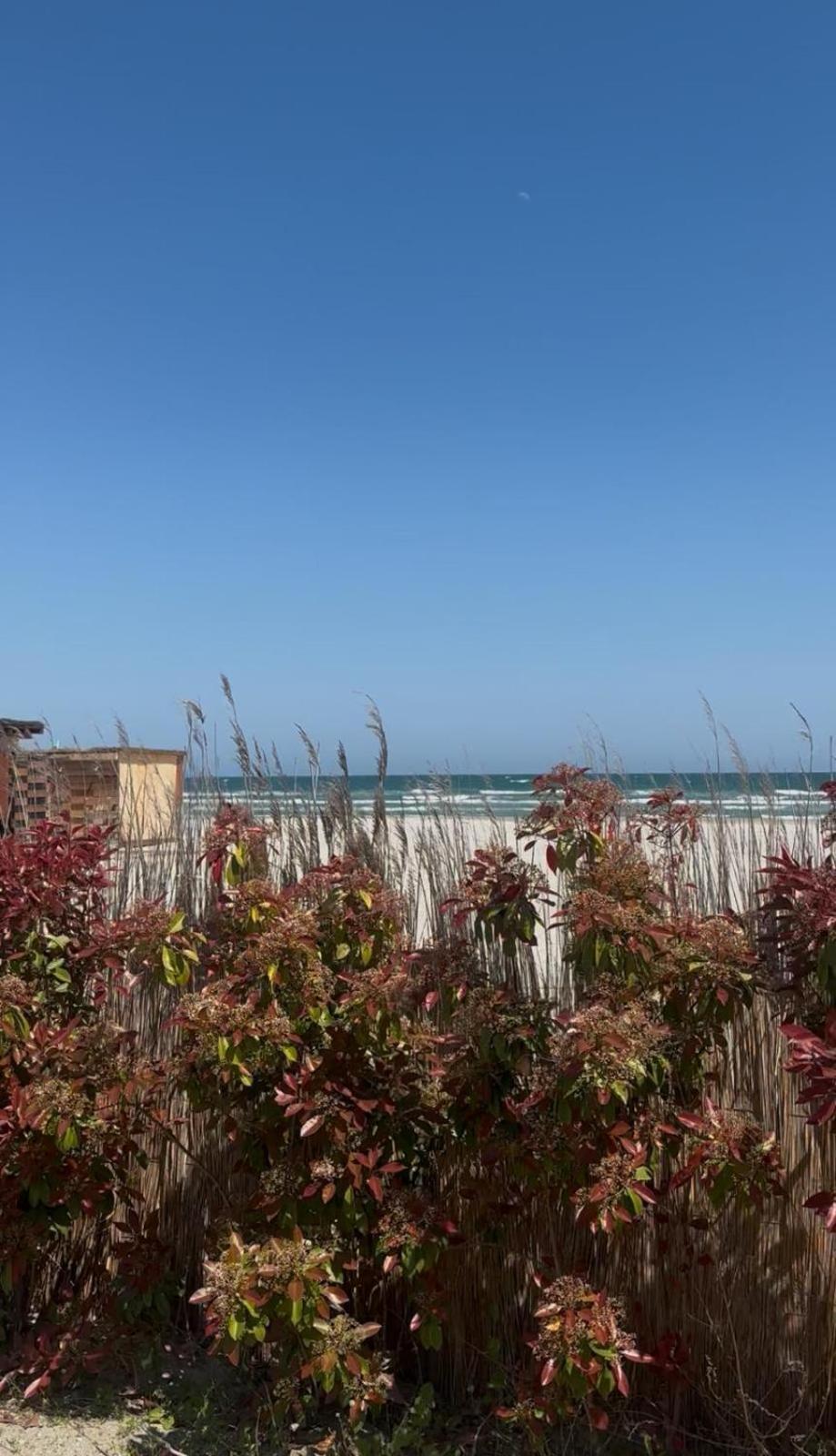 Sea View Luxury Apartament Năvodari Extérieur photo